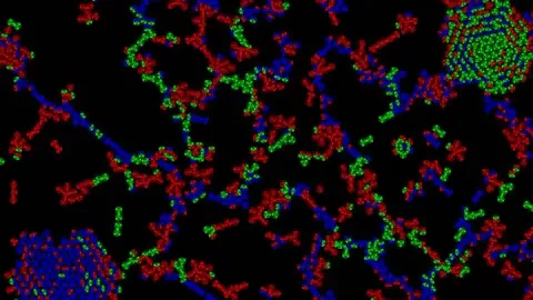 Atomic Clusters, a molecular particle-based simulation